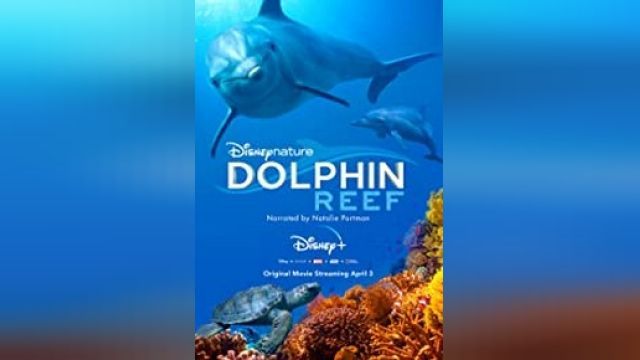 دانلود فیلم صخره دلفین 2018 - Dolphin Reef