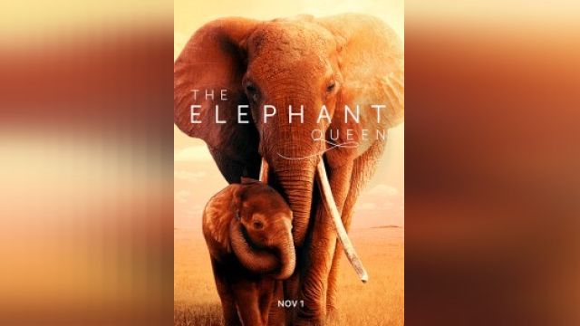 فیلم ملکه فيل ها The Elephant Queen (دوبله فارسی)