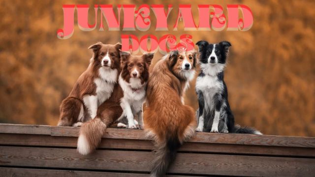 دانلود فیلم سگ های آشغال 2022 - Junkyard Dogs