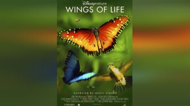 فیلم بالهای زندگی  Disneynature: Wings of Life (دوبله فارسی)