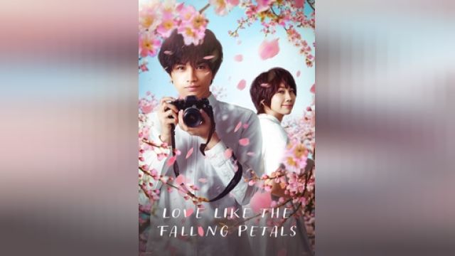 دانلود فیلم عشقی مثل گلبرگ های در حال ریزش 2022 - Love Like the Falling Petals