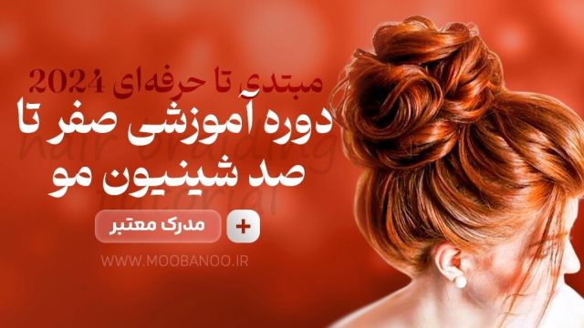 یادگیری شینیون از 0 تا 100 برای افراد مبتدی