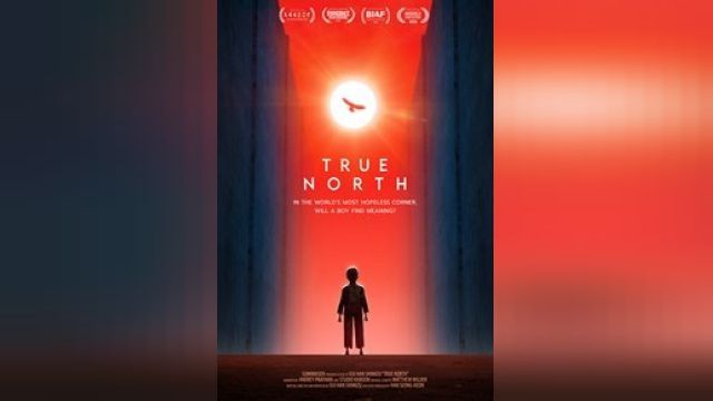 دانلود انیمیشن شمال حقیقی 2020 - True North