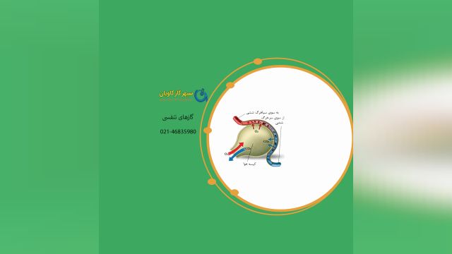 گازهای تنفسی-سپهر گاز کاویان