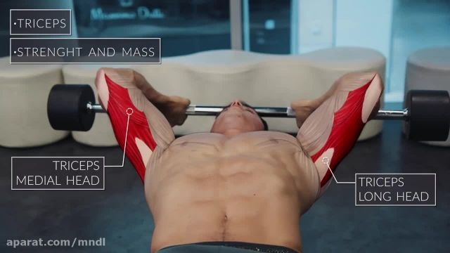 فیلم آموزش حرکات بدنسازی - تمرین بدنسازی برای عضلات پشت و جلو بازو