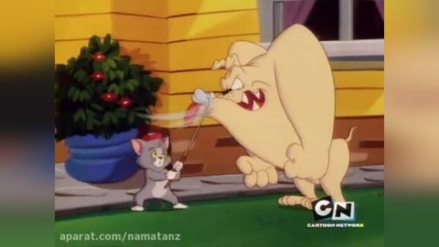  دانلود مجموعه انیمیشن سریالی موش و گربه 【tom and jerry】 قسمت 248