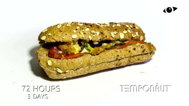 دانلود تایم لِپس (Timelapse) - ساندویچ دوبل بزرگ 