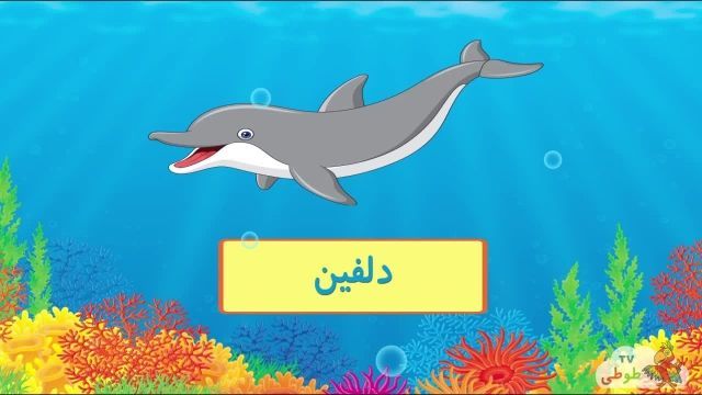آموزش تصویری شناخت حیوانات دریایی به کودکان با روش ساده 