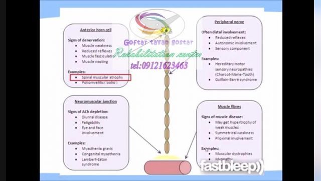 بهترین مرکز کاردرمانی البرز09121623463|قزلحصار خیابان شهرداری