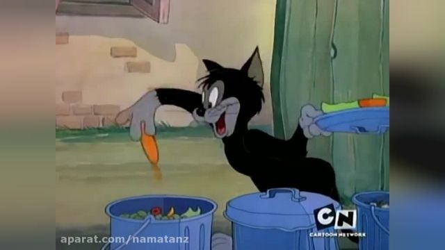  دانلود مجموعه انیمیشن سریالی موش و گربه 【tom and jerry】 قسمت 35