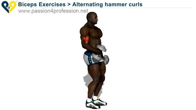 فیلم آموزش حرکات بدنسازی - Alternating hammer curls
