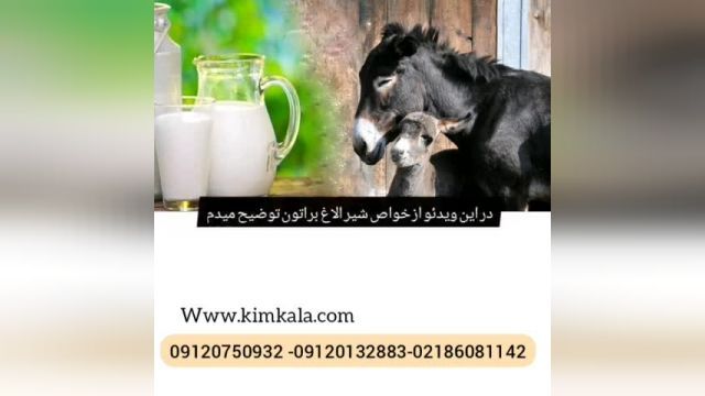 شیر الاغ  09120132883
