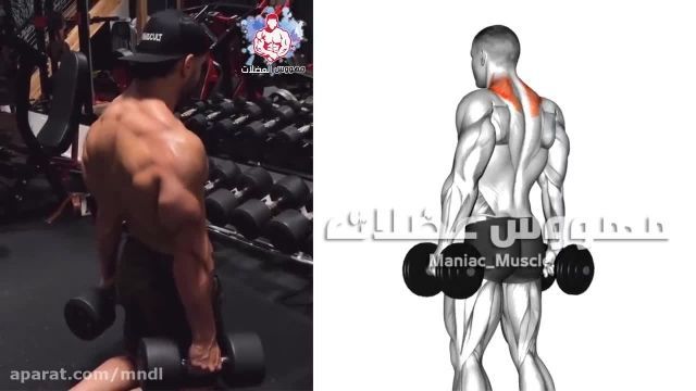 فیلم آموزش انجام حرکات بدنسازی _ تمرین بدنسازی مخصوص عضلات گردن