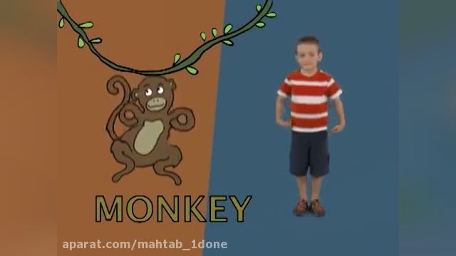 کلیپ آموزشی کودکان _ شناخت حیوانات _ میمون ( monkey)