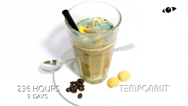 دانلود تایم لِپس (Timelapse) - قهوه با شیر و شکلات