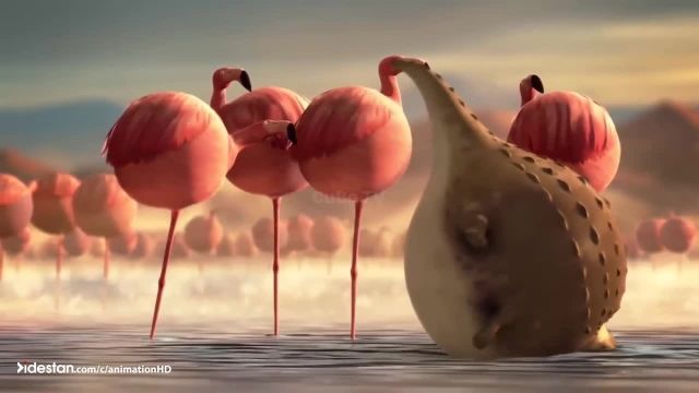 دانلود انیمیشن کوتاه دنیای حیوانات بادکنکی 