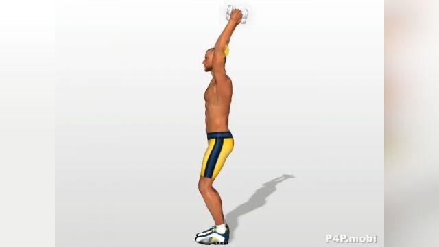 فیلم آموزش حرکات بدنسازی - حرکات بدنسازی _Triceps Exercises : Extensions