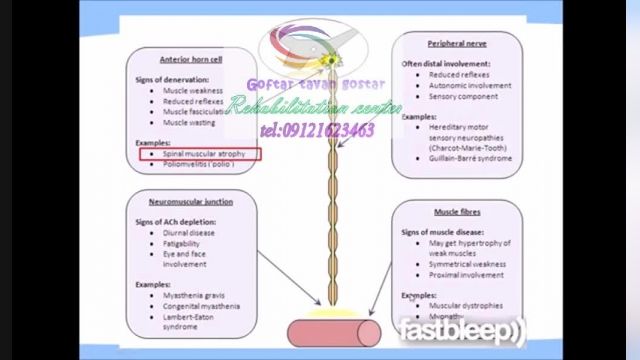 کاردرمانی درکرج  09121623463،  کوی گلها خیابان بنفشه فرعی محمد خانی 