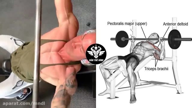فیلم آموزش انجام حرکات بدنسازی _ 15 تکنیک بدنسازی برای تقویت عضلات سینه