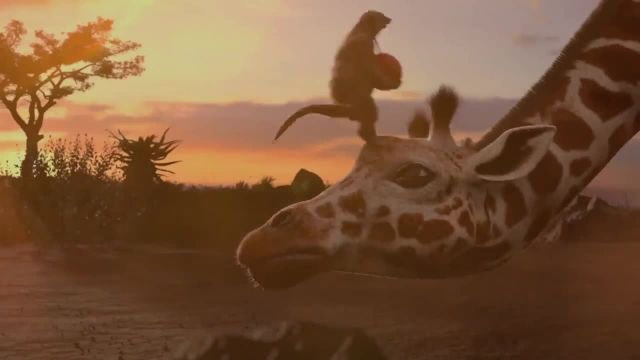 دانلود رایگان انیمیشن کوتاه (African Festive 2017) با کیفیت بالا 