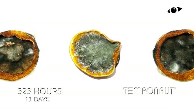 دانلود تایم لِپس (Timelapse) - پرتقال حلقه شده