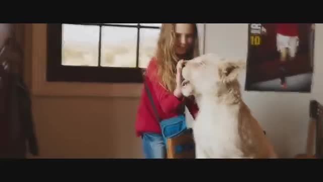 تریلر رسمی فیلم  میا و شیر سفید (MIA AND THE WHITE LION 2019 )
