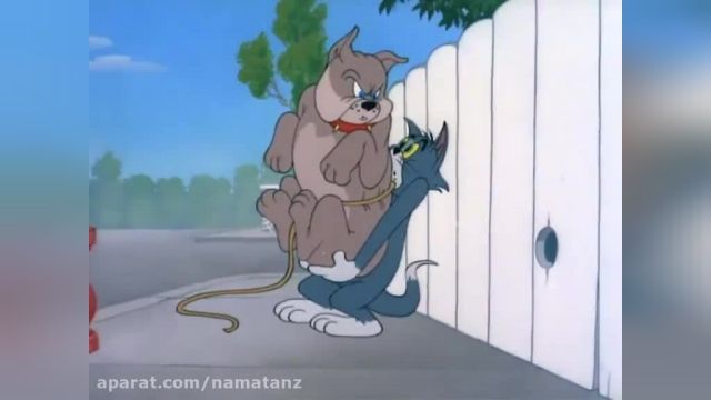  دانلود مجموعه انیمیشن سریالی موش و گربه 【tom and jerry】 قسمت 72