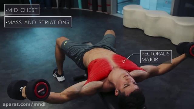 فیلم آموزش حرکات بدنسازی - تقویت عضلات سینه 