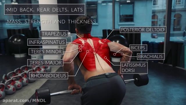 فیلم آموزش حرکات بدنسازی - عضلات کمر
