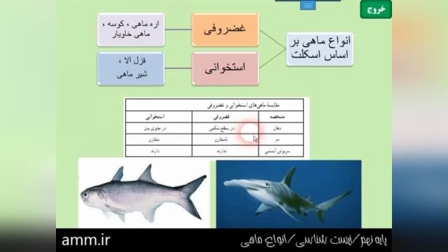 آموزش رایگان پایه نهم - زیست شناسی - انواع ماهی ها