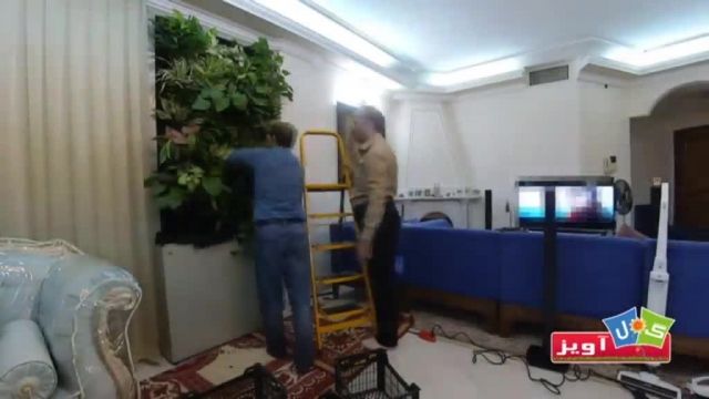 نصب و راه اندازی سازه دیوار سبز گل آویز در محیط داخلی آپارتمان 