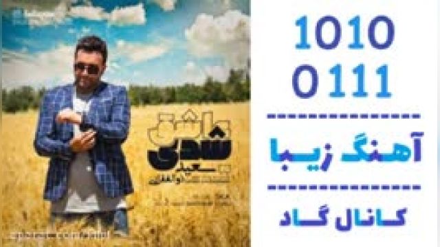 دانلود آهنگ عاشق شدی از  سعید ذولفقاری