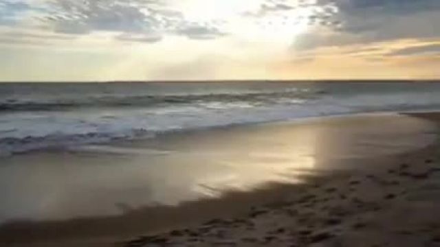 موزیک ویدیو زیبای دریا سیاوش قمیشی