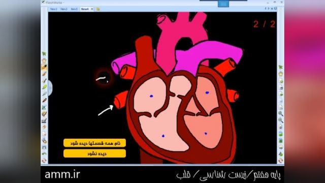 آموزش رایگان پایه هفتم- زیست شناسی- قلب