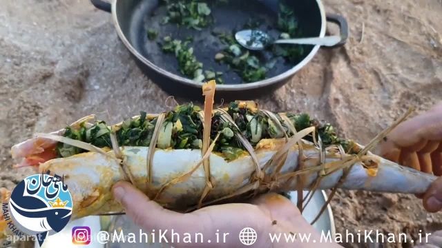 ماهی شکم پر بوشهری - ماهی خان