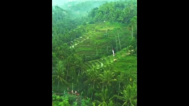 ابود در جزیره بالی (جزیره خدایان) اندونزی