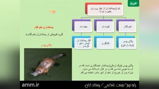 آموزش رایگان پایه نهم - زیست شناسی - پسانداران