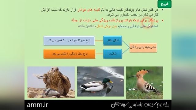 آموزش رایگان پایه نهم - زیست شناسی - پرندگان
