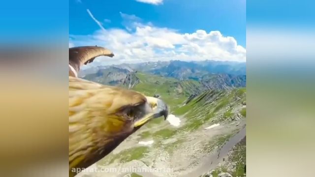 راز بقا - لذت پرواز بر بال های دال (عقاب) - دوبله فارسی