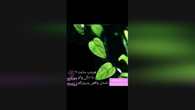 داستان واقعی17