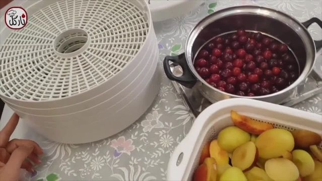 نحوه درست کردن صحیح خشک کردن میوه های تابستانی در خانه با سه روش