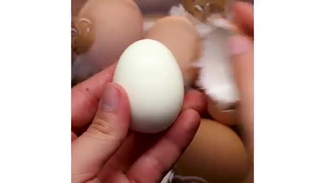 نکات کاربردی آشپزی - 12 دستورالعمل خوشمزه برای پخت تخم مرغ