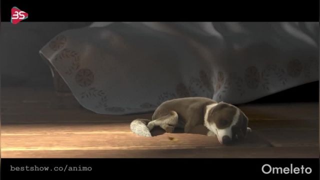 دانلود انیمیشن کوتاه - After the rain