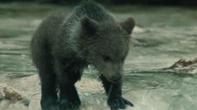  خرس  The Bear 1988  #دوبله