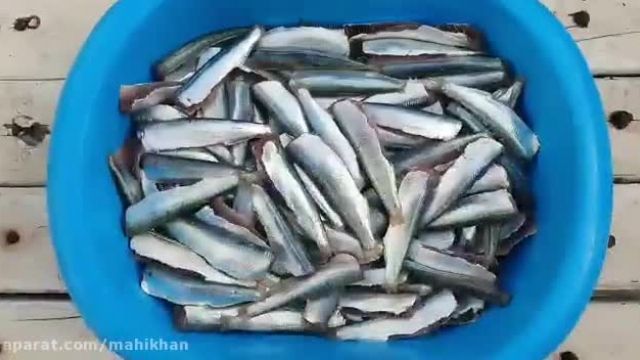 طرز تهیه ماهی ساردین - ماهی خان