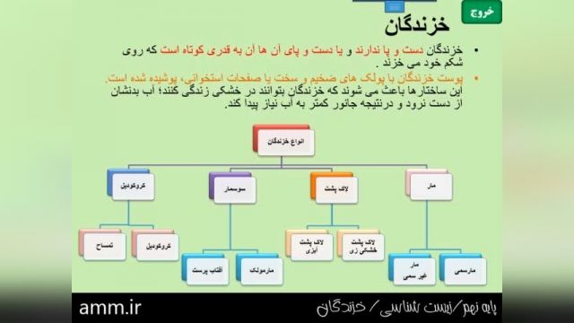 آموزش رایگان پایه نهم - زیست شناسی - خزندگان