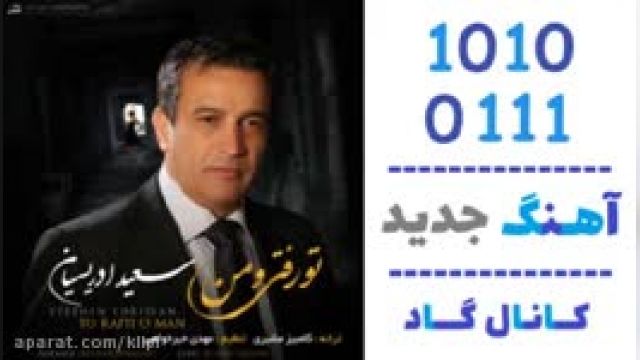 دانلود آهنگ تو رفتی و من از سعید ادریسیان