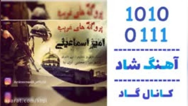 دانلود آهنگ پروانه های غریب از امیر اسماعیلی