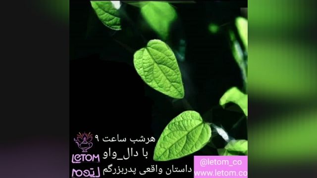 لتوم قسمت 1