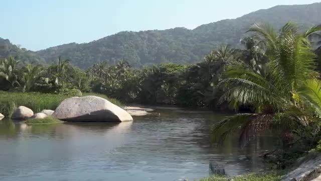 معرفی پارک ملی تیرونا (tayrona) در شمال کلمبیا فقط در چند دقیقه 